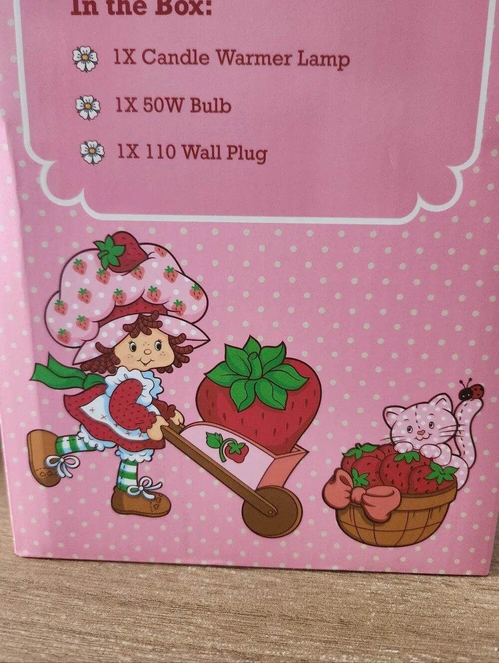 Strawberry Shortcake Candle Warmer Lamp Timer Glass Shade NWT 60W New In Box